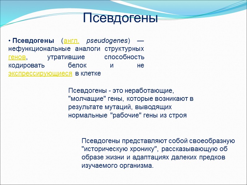 Псевдогены   Псевдогены (англ. pseudogenes) — нефункциональные аналоги структурных генов, утратившие способность кодировать